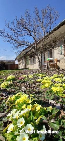 Casa in zona semicentrala, singur in curte, acces auto, spatiu mare de parcare - 11