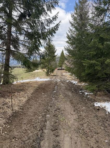 Teren rarau 10 min de partie extravilan parcela de jumatate 5600mp - 2