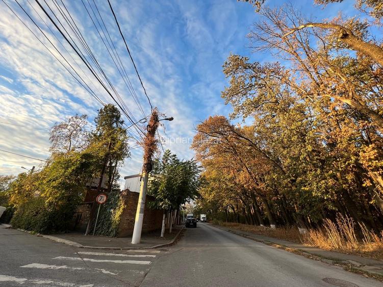 Teren Construcții intravilan de 4000 mp, în Colentina