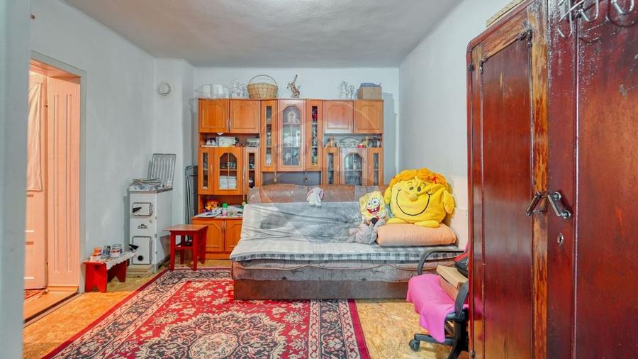 Proprietate 691 mp + anexe, ideal renovare - Dumbravita, BV - 10