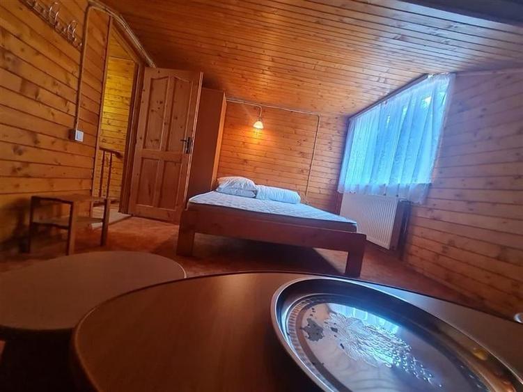 Incadrata de 4.200mp teren, Vila cu potential turistic, in inima Predealului - 30