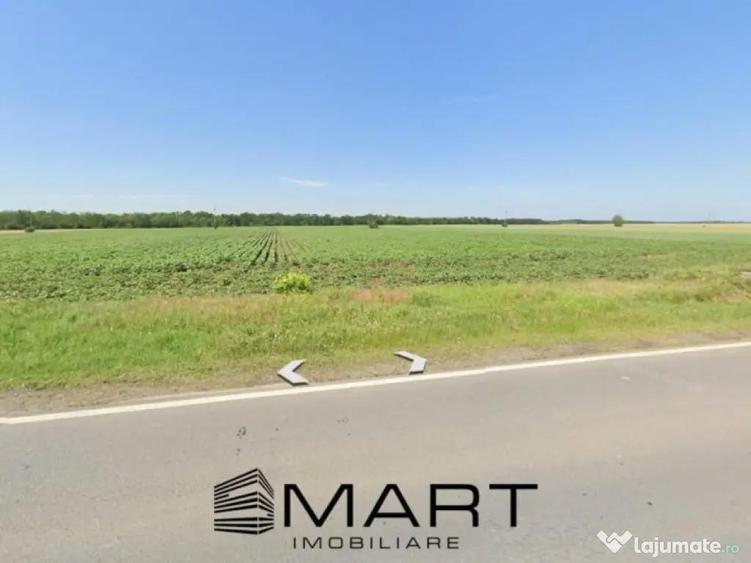Teren arabil sat Cucueti - 2