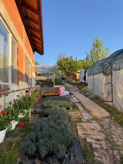 Vand casa in Visea com.Jucu - 6