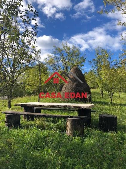 Teren extravilan in Brebu(Pietriceaua)--9104mp--50.000e - 1