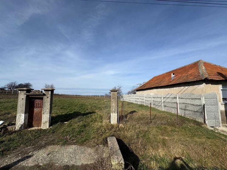 Vand teren intravilan in localitatea Copacel, Bihor, suprafata 3082 mp - 1