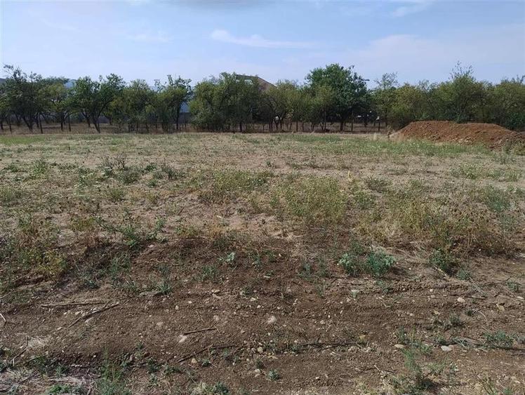 RECO Teren intravilan, Livada - 2