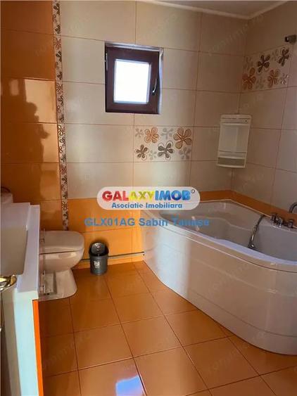 de inchirere vila Stefanesti Lidl ....curte amenajata teren 300 mp - 4