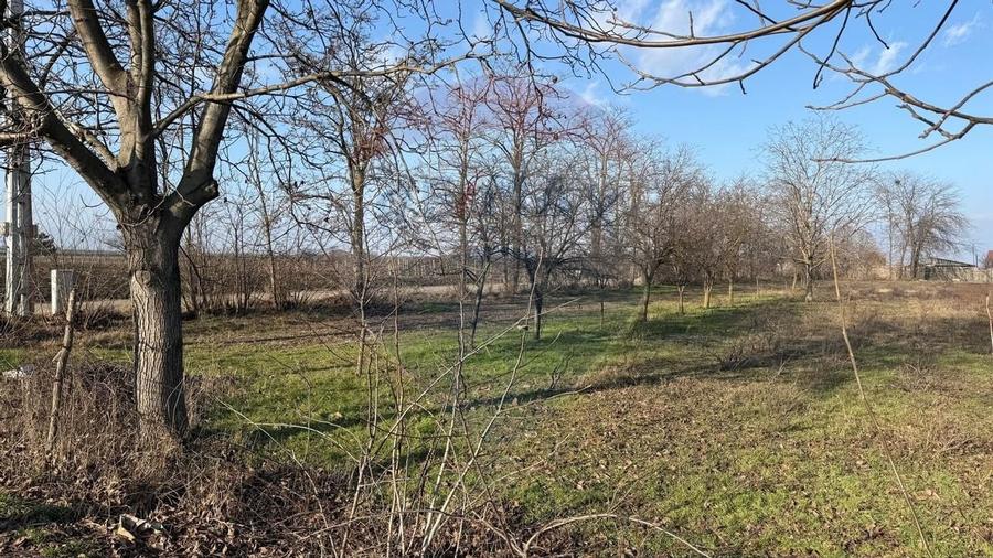 Teren 2,300mp Petresti / Strada Lacramioarei - 5