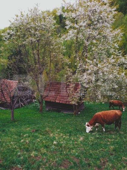 Teren agricol intravilan de 25200 mp, în Bran
