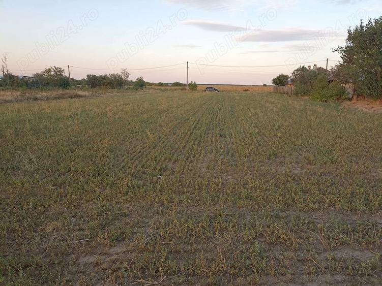 Teren de 2500 mp, în Copaciu
