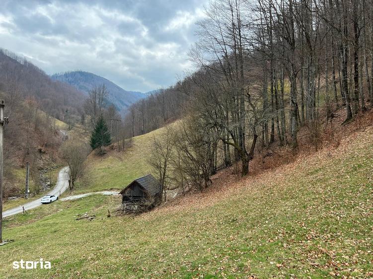 Teren de 12877 mp, în Bulz