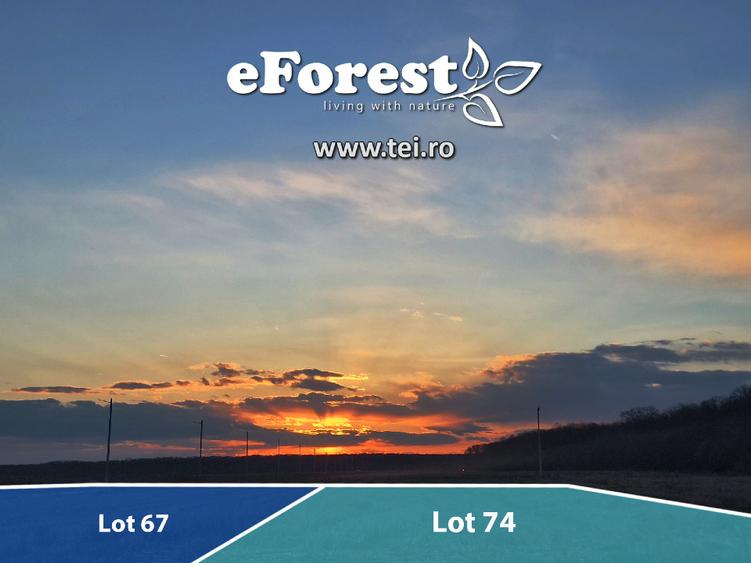 Loturi de casă 720 - 900 mp, langă Pădure în eForest, acces asfaltat - 5