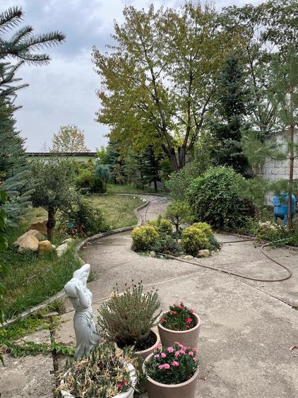 Casa deosebita P+E+M  Central-Biserica - 13