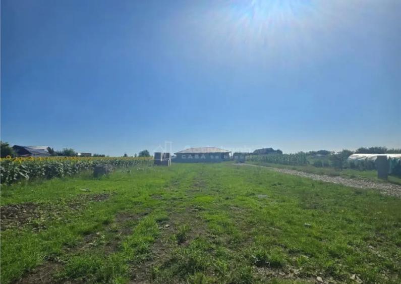 Teren intravilan - 895 mp - Moara Nica - 2