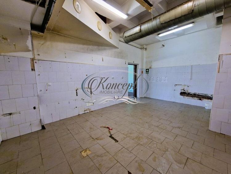 Spatiu comercial in Zorilor - 10