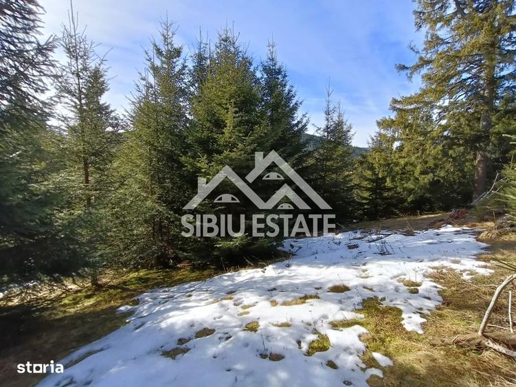 Teren de vanzare in zona montana a judetului Alba - 5