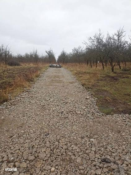 De vanzare teren intravilan in Sfantu Gheorghe - 5