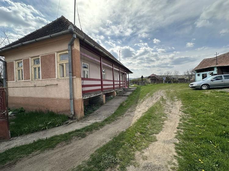 Vand casa cu gradina - 2