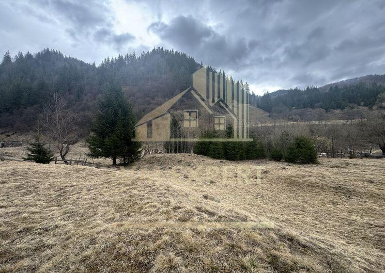 TEREN INTRAVILAN 500 MP SATIC- RUCAR - 5