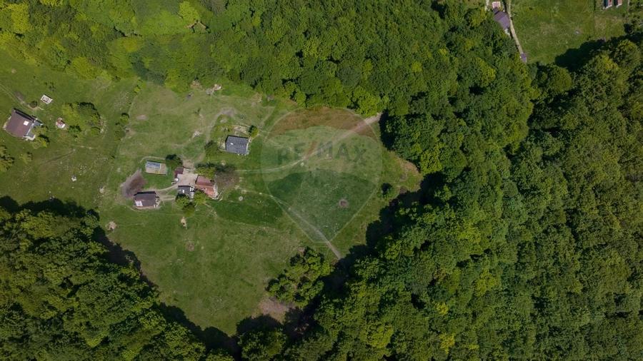 Teren de vanzare - Colonia 1 Mai, 5.310 mp, ideal pentru investitie - 7