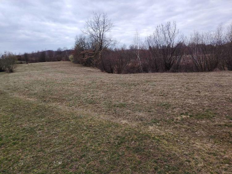 Vanzare Teren Extravilan Sinca Noua - 2