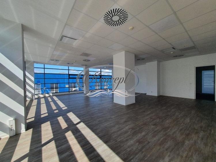 Spatiu birouri clasa A, zona Grigorescu - 5