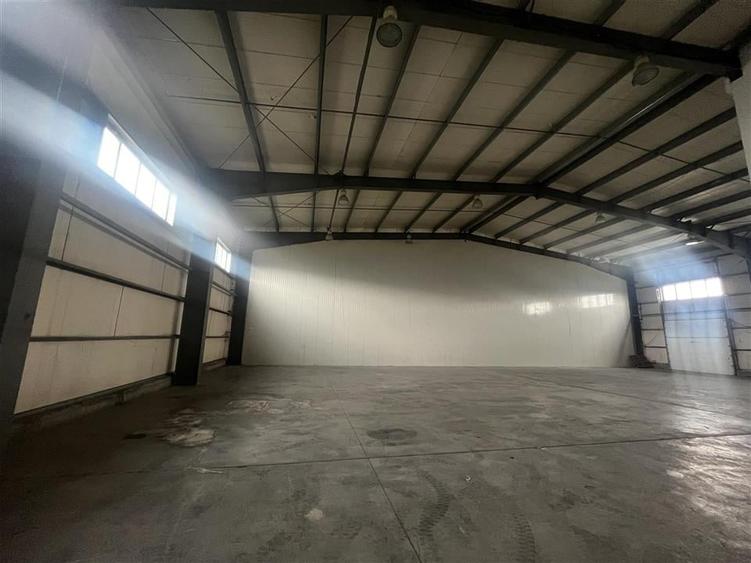 Hala de închiriat  Afumati, Centura Bucuresti  600 /?cu birourI, - 3