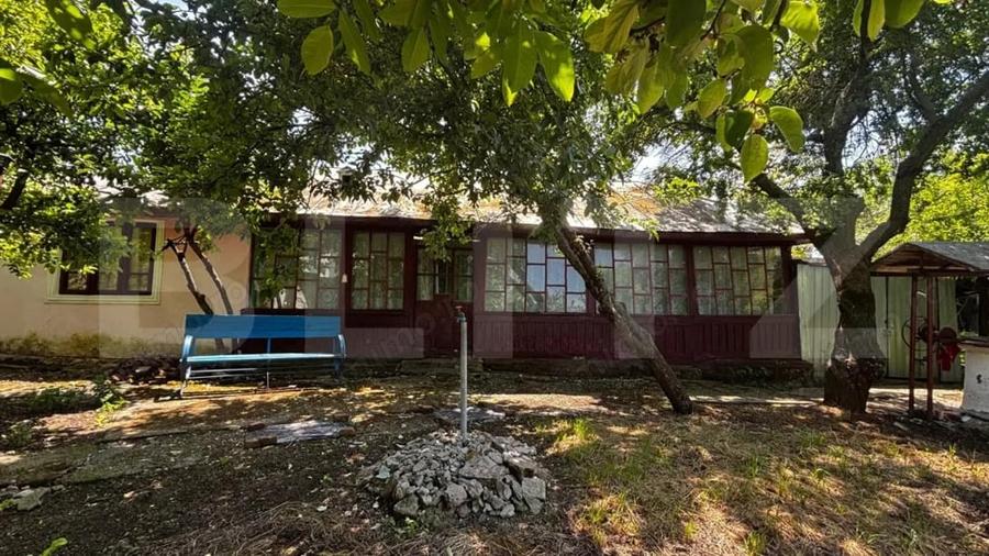 Proprietate cu 2 case, 3.345 mp teren, Balota de Jos, comuna Murga?i - 19