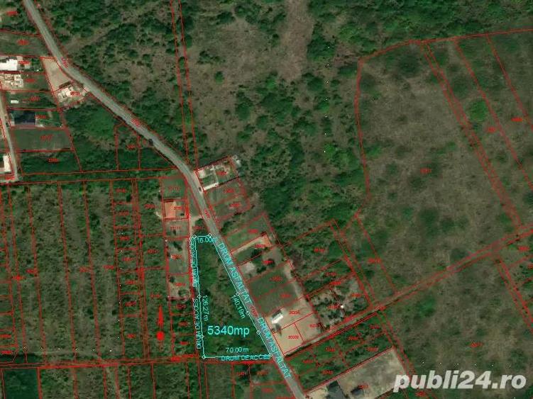 Teren intravilan 5340 mp triplu frontstradal cu asfalt intravilan Paleu - 6