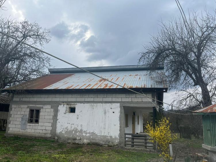 Gospodărie 2 case cu teren 5000m - 3