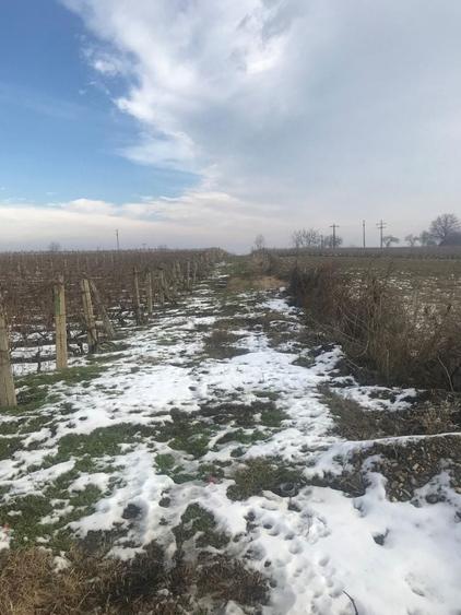 De vanzare teren Odobesti, Vrancea - 2