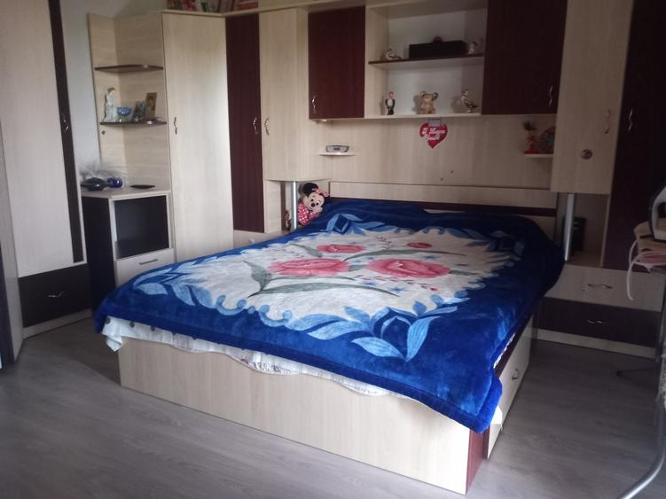 Duplex de vanzare,Domnesti - 4