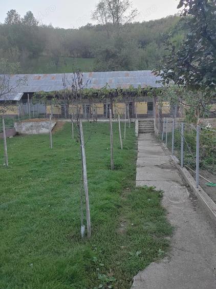 Gospodarie langa Deva - 8