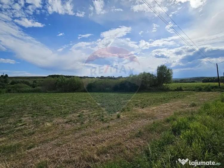 Teren extravilan 12000 mp- Padureni-?endriceni, Boto?ani - 1