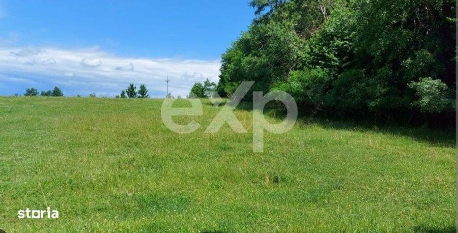 De vanzare teren extravilan, 400 m 2 in Techirghiol, jud Constanta - 1