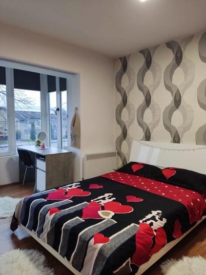 Vand Apartament Orsova - 4