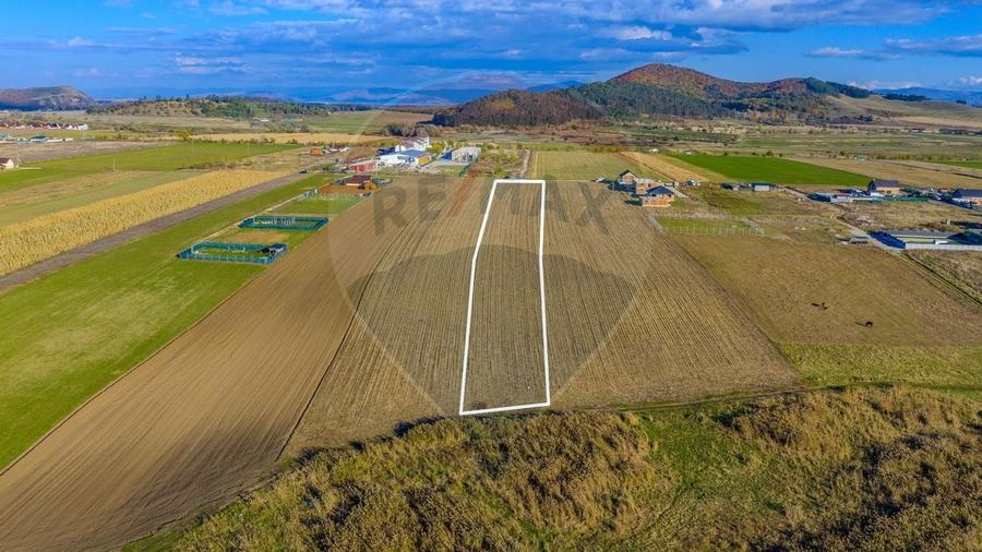 COMISION 0% Teren Sanpetru 8900 mp/ Intravilan/ 8 loturi - 4