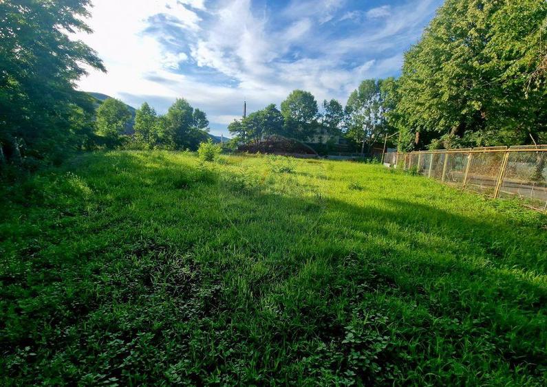 Teren 1,749mp Piatra-Neamt / Strada Zambilelor - 13