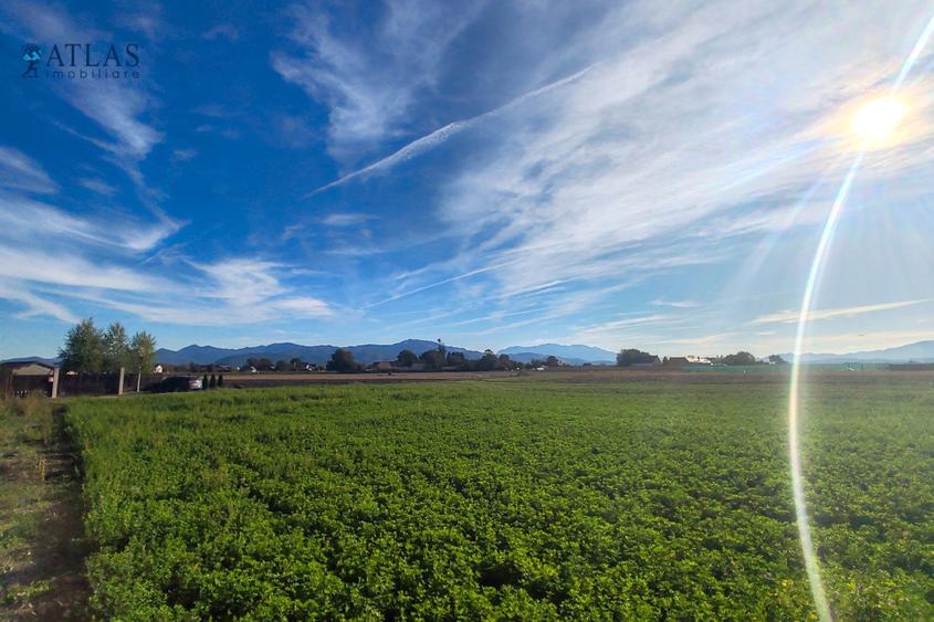 Teren ideal dezvoltare rezidențială, 8.121 mp, PUZ aprobat, utilități, Stupini - 2