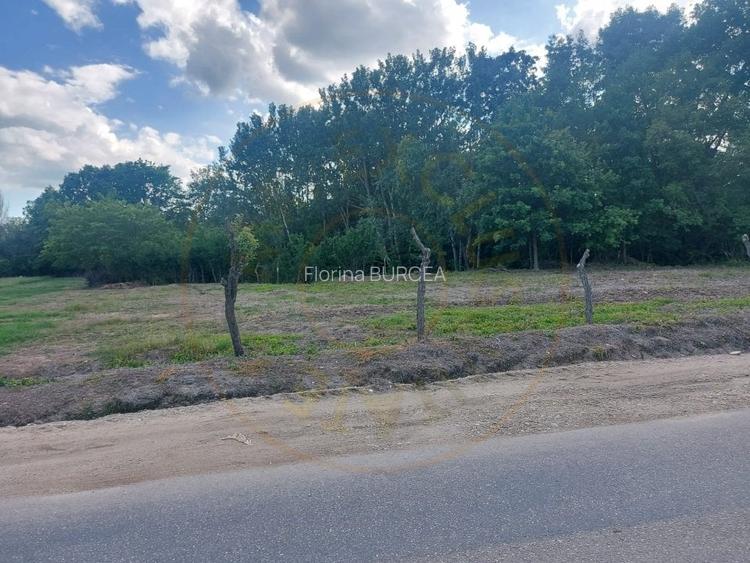 Teren intravilan 1843 mp - Cerbu/Albota/Arges - cu proiect de casa pe parter