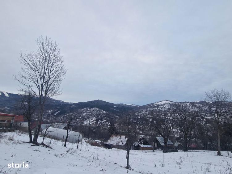 Casa batraneasca + teren 12000 mp cu toate utilita?ile racordate - 7