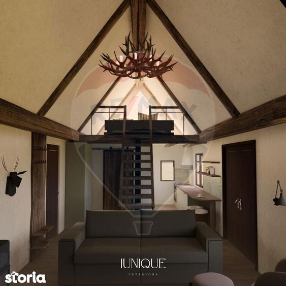 Tiny House-uri in Maguri Racatau. Teren de vanzare cu proiect in curs - 4