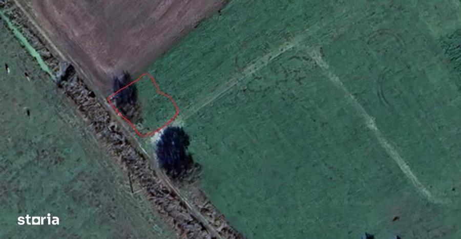 Teren Colonia Bod - 1