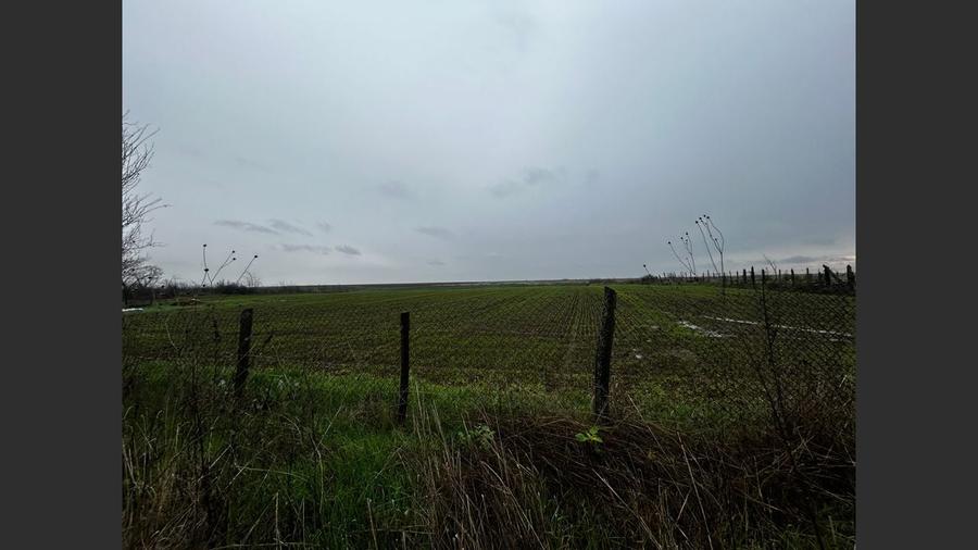 De Vânzare: -casă 2 camere, Piatra-OLT, 50mp, 2012mp teren, 37000 EUR - 12