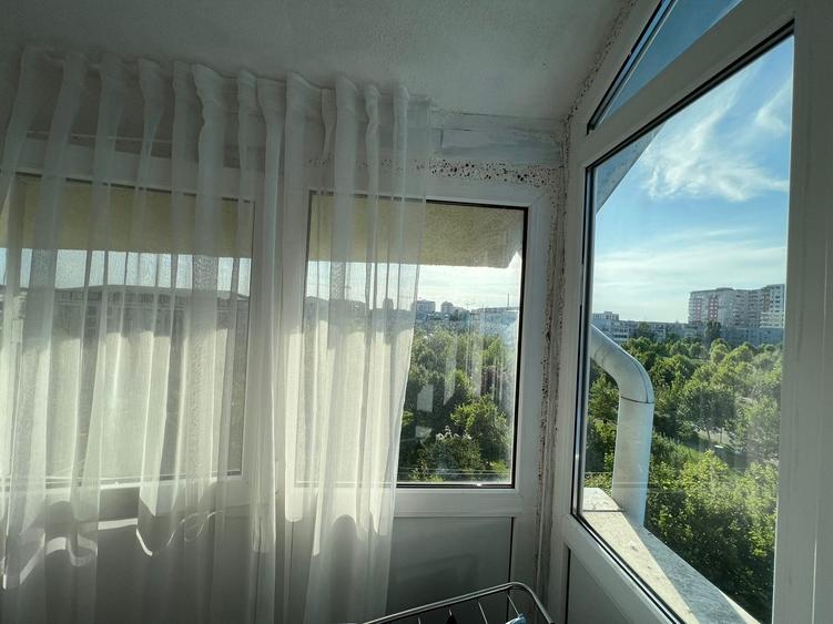 Cartier Brancusi ANL Coloana infinitului - 8