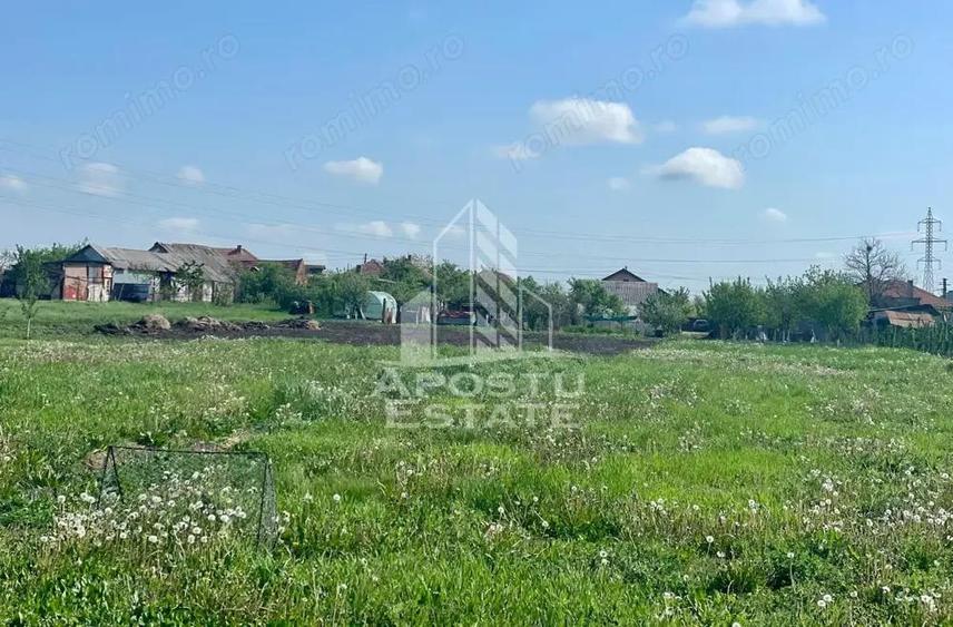 Casa individuala cu curte individuala si gradina - Zona Gai - 14