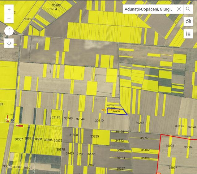 Teren 22320 mp - Adunații Copaceni - 2