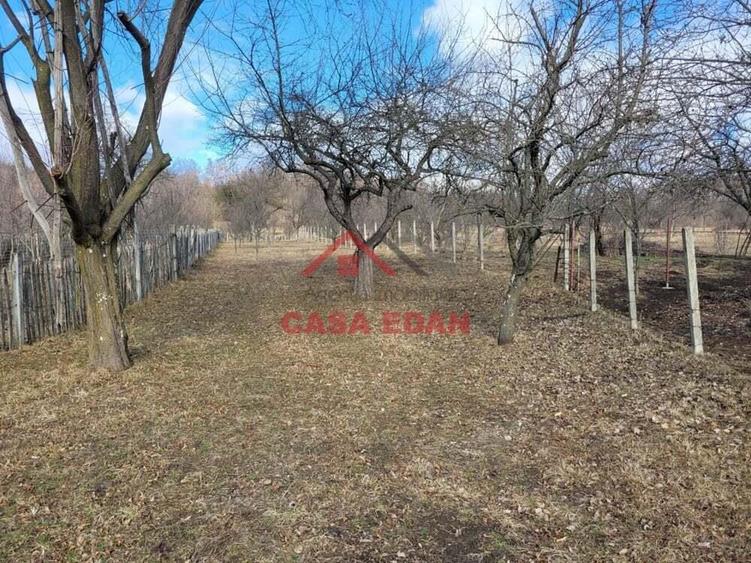 Teren intravilan in Cornu--2991mp--29e - 5