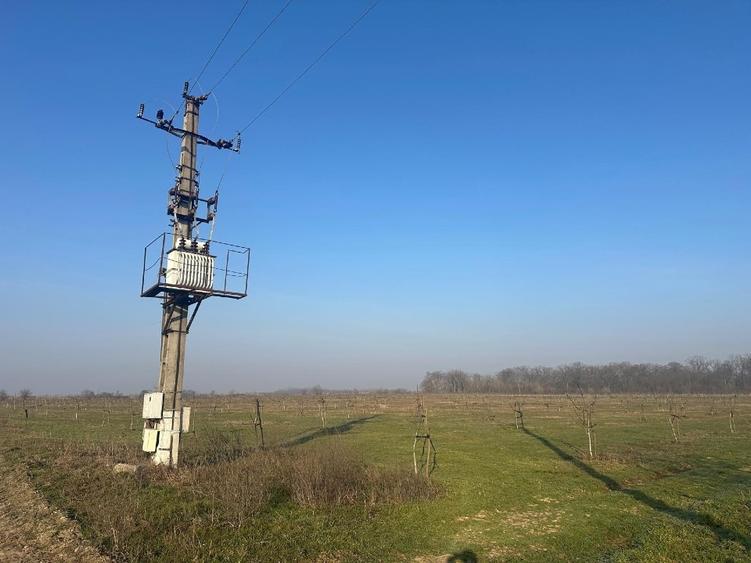 Livadă de nuc: Afacere agricolă cu potențial ridicat – 74,9 ha irigate - 3