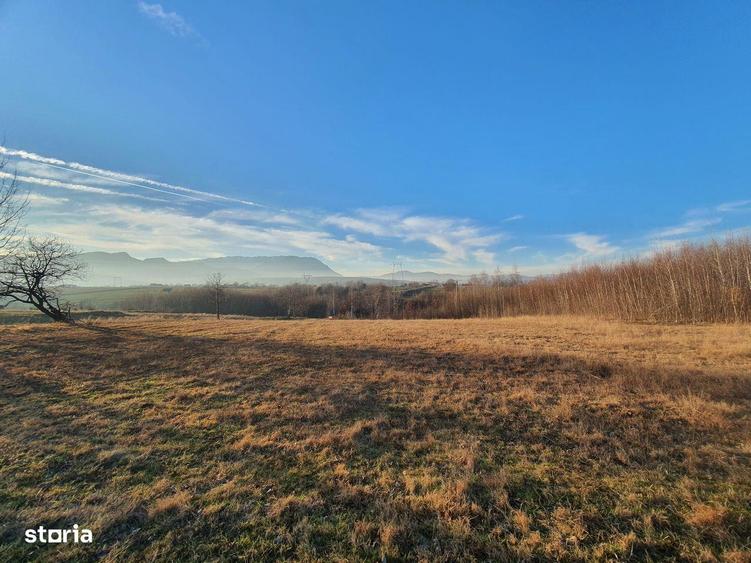 Teren intravilan Bran Sohodol zona de case - 2